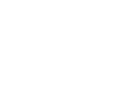 LMG strategie+creatie, organisatie